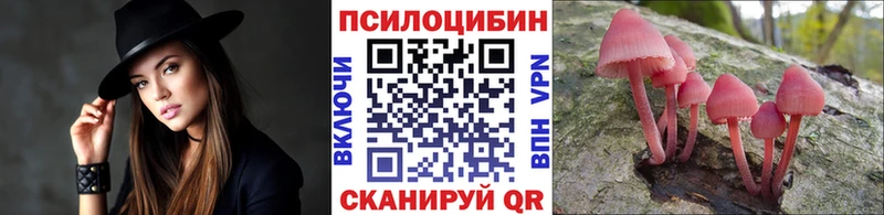 Галлюциногенные грибы GOLDEN TEACHER Купить где Гай